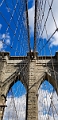 NYC0113
