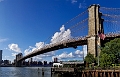 NYC0137