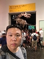 NYC0339