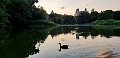 NYC0371