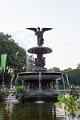 NYC0380
