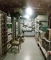 NYC0857