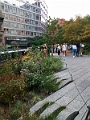 NYC1003