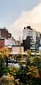 NYC1004
