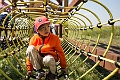CornMaze029