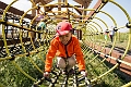 CornMaze030