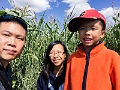 CornMaze033