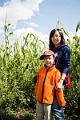 CornMaze034