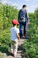 CornMaze035