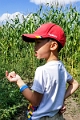 CornMaze040