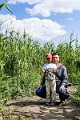 CornMaze041