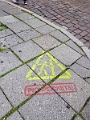 Tallinn065