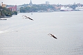 Stockholm097