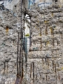 Berlin047