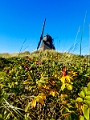 Skagen061