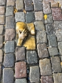 Amsterdam188