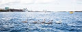 Copenhagen178