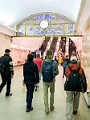 StPetersburg237