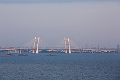 StPetersburg358