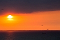 StPetersburg361