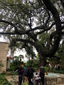 SanAntonio072