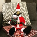 Christmas004