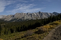 Jasper001