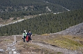 Jasper016