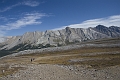 Jasper019
