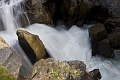 Jasper038
