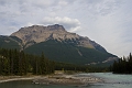 Jasper046