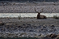 Jasper072