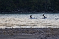 Jasper074