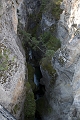Jasper107