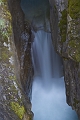 Jasper109