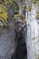Jasper120