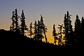 ElbowFalls008