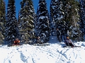 Revelstoke021