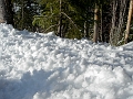 Revelstoke042