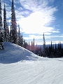 Revelstoke046