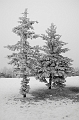 Winter001