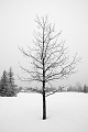 Winter002