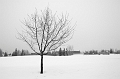 Winter004