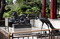 Beijing011