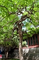 Beijing054