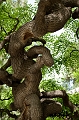 Beijing055