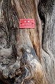 Beijing091