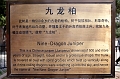Beijing093