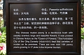 Beijing229