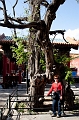 Beijing230